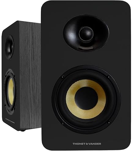 Aura AST-2B-4 Pro Bass Shaker : Amazon.com.tr: Müzik Enstrümanları